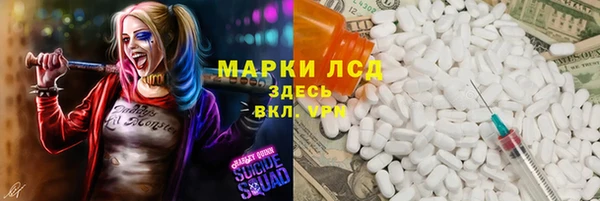амф Козельск