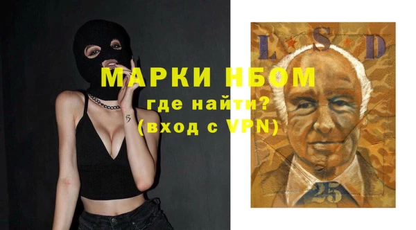 Альфа ПВП Бородино