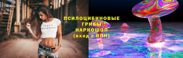 Альфа ПВП Бородино