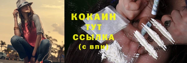 молекула духа Вязьма