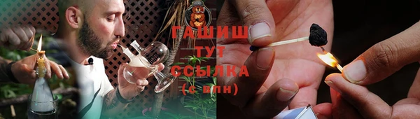 МДПВ Богородск