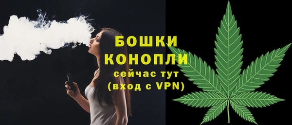 Альфа ПВП Бородино