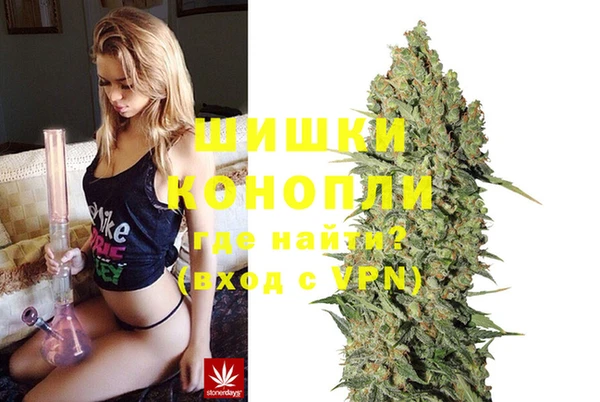 МДПВ Богородск