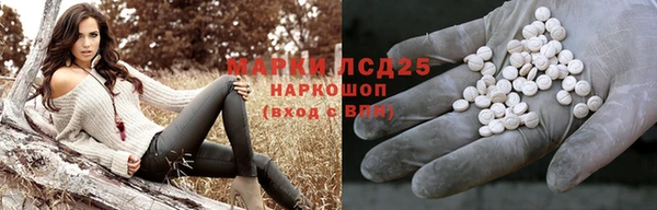 Альфа ПВП Бородино