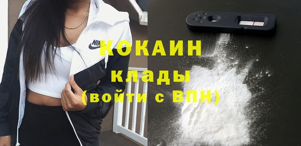 эйфоретик Вяземский